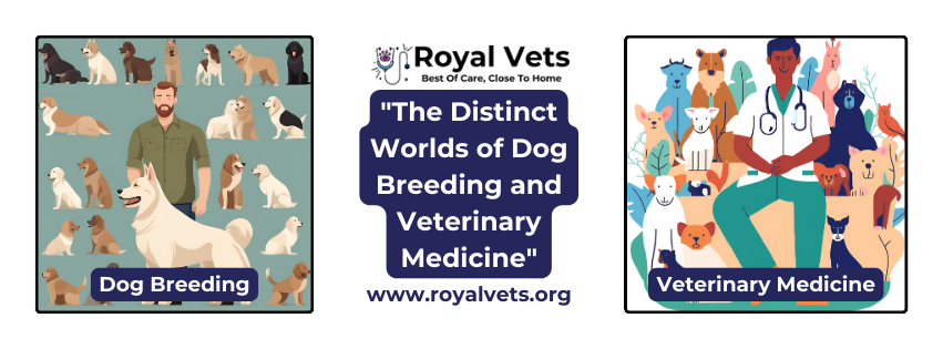 DOG BREEDING VS VET MEDICINE