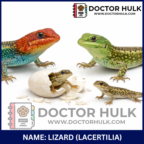 Screenshot 2026-02-13 12.11.20 PM